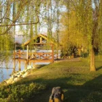 Prop.200-Cabañas rio quequen-Rio