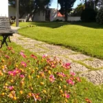 Prop.251. La Farola-Parque2_resultado
